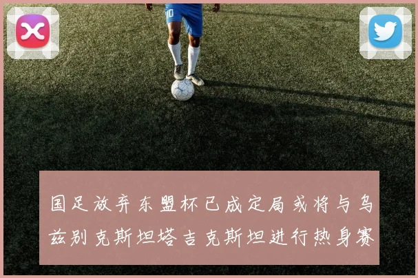 国足放弃东盟杯已成定局或将与乌兹别克斯坦塔吉克斯坦进行热身赛